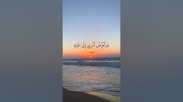 القارئ مشاري العفاسي - فستذكرون ما أقول لكم وأفوض أمري إلى الله - سورة غافر