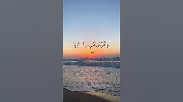 القارئ مشاري العفاسي - فستذكرون ما أقول لكم وأفوض أمري إلى الله - سورة غافر