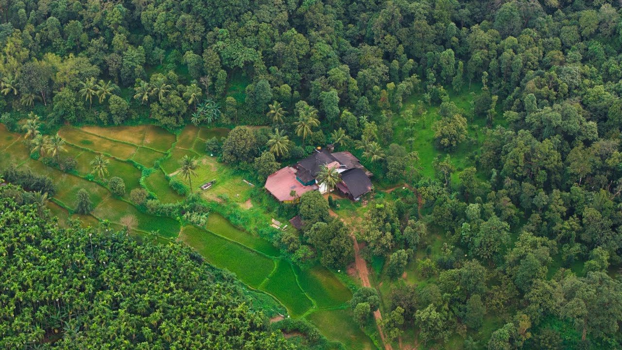  ಮಣ್ಣಿನ ಮಡಿಲಲ್ಲಿ ಅರಳಿದ ನೆನಪುಗಳು 