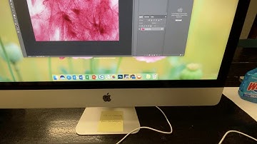 Photoshop for Scale Bar Tutorial