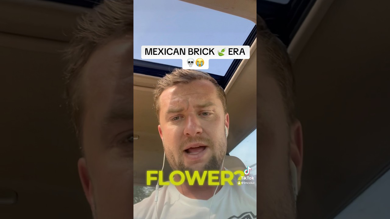 Mexican Brick 🍃 Era 😭💀