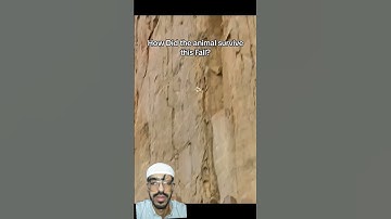 تلاوة القرآن الكريم بصوت عبدالرحمن مسعد#تلاوة_خاشعة #عبدالرحمن_مسعد #القرآن_الكريم
