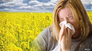 Local health expert offers tips to survive this allergy season