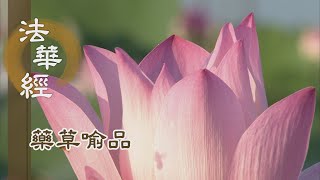 【靜思妙蓮華】法華經藥草喻品 - 種相體性 佛如實知 - 20210709 第892集
