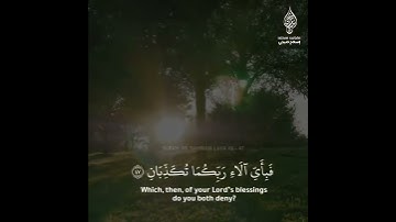 " ولمن خاف مقام ربه جنتان " سوره الرحمن / إسلام صبحي🥺💖.