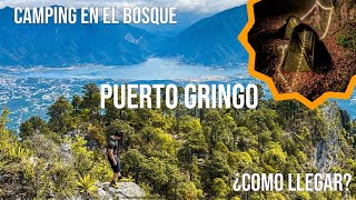 Puerto gringo y antenas: EL MEJOR LUGAR DE CAMPING EN MEDIO DEL BOSQUE. Santiago NL ¿Como llegar? by Fredy Guiando 1,154 views 1 month ago 17 minutes