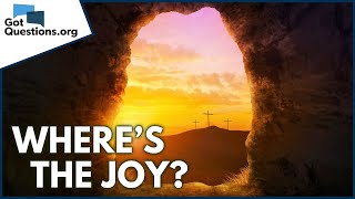 How did Jesus bring joy to the world?  |  GotQuestions.org