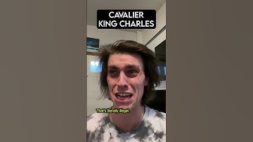 How Dog Breeds react to Robbers PT. 8