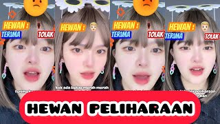 KOMPILASI VIDEO TIKTOK POV RERE (Hewan Peliharaan) - Regitamasri