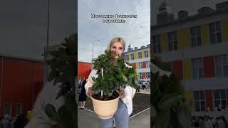 ТИПЫ НА 1 СЕНТЯБРЯ