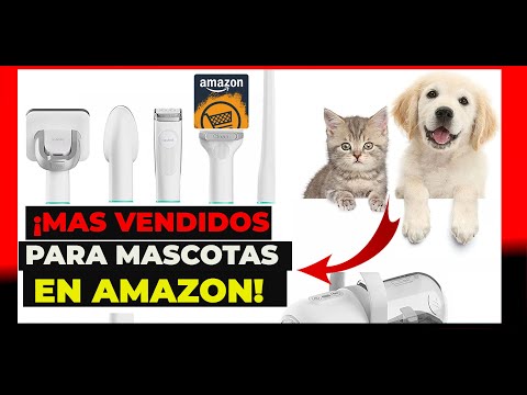 Video: Los mejores productos de este veterinario para el perro moderno