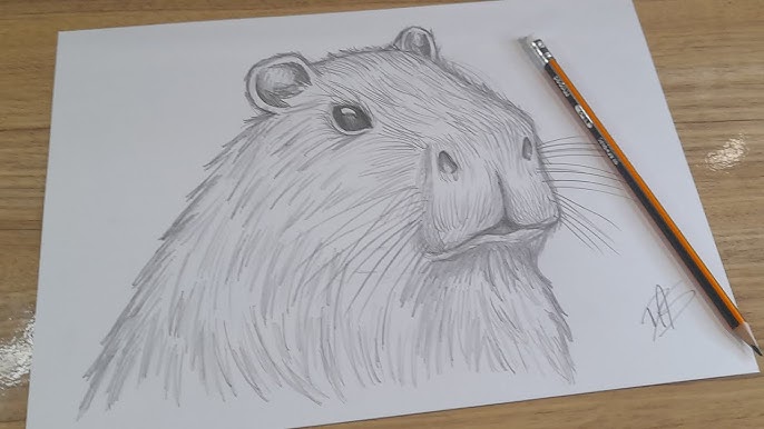 como desenhar uma capivara de corpo inteiro 