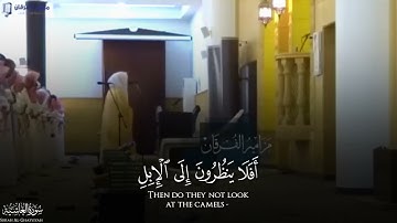 تلاوة أفضل ياسر الدوسري 🫀❤️ عام ١٤٣٧، سورة الغاشية