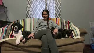 Welcome To The Danes And Pit