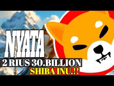 BOOOOM !! 30.000.000.209 SHIBA INU MENGHILANG dari cex