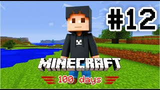 Minecraft 100 days challenge [Day 12]