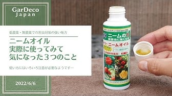 ニームオイル Youtube ニームオイル Youtube