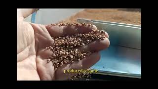 Gravity Separator