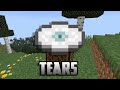 Tears - Minecraft Music Disc - Amos Roddy