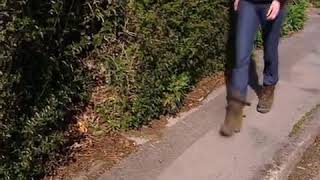 Black Squirrels The One Show