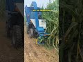 60HP Silage Harvester | 3 Acres/Hour High Efficiency For Farms