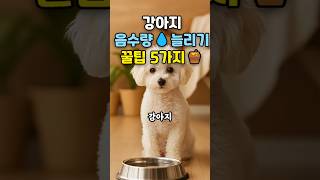 Is Your Dog Not Drinking Enough Water? 5 Simple Tips to Increase Hydration | Expert Secrets Revea...