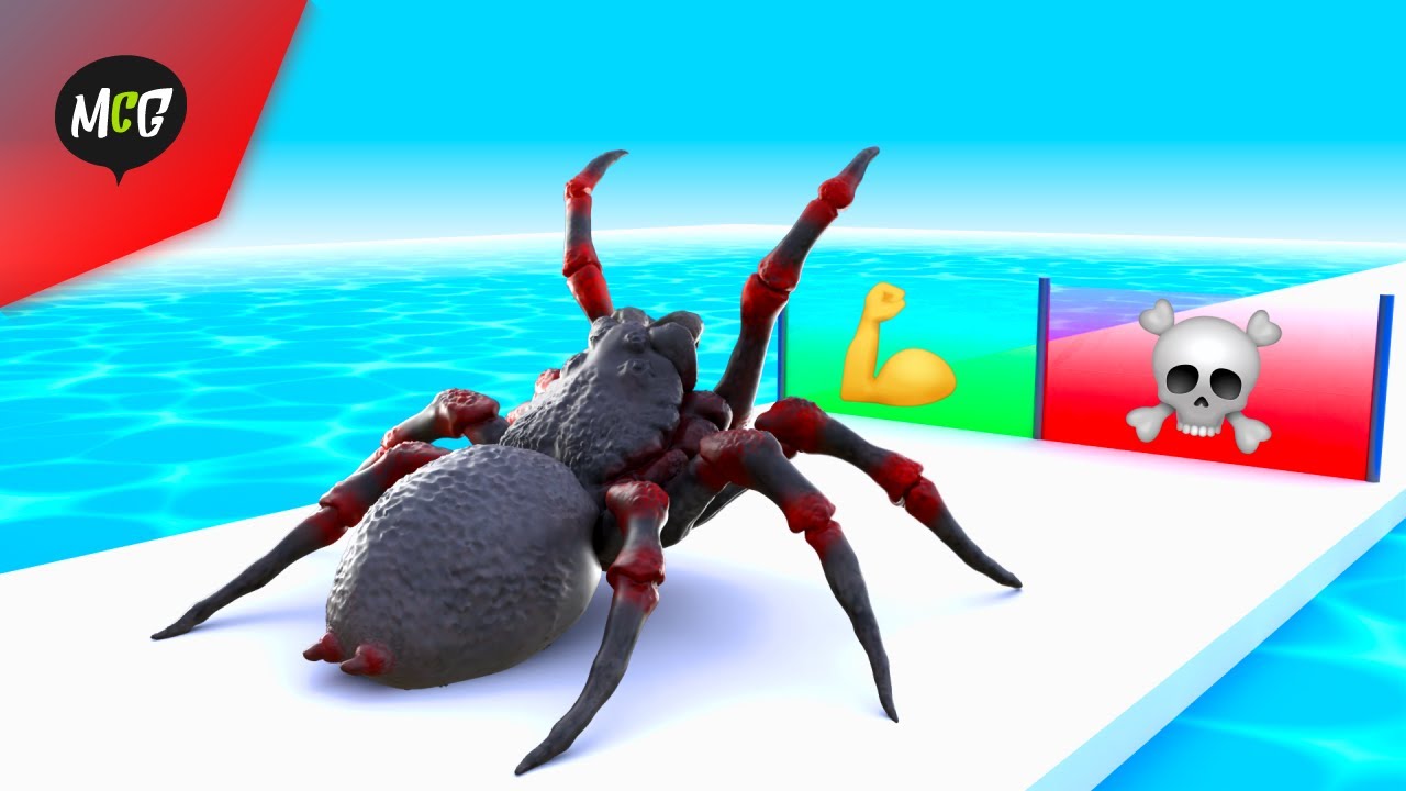 Ayo Kita Buat Laba-Laba Paling Kuat!