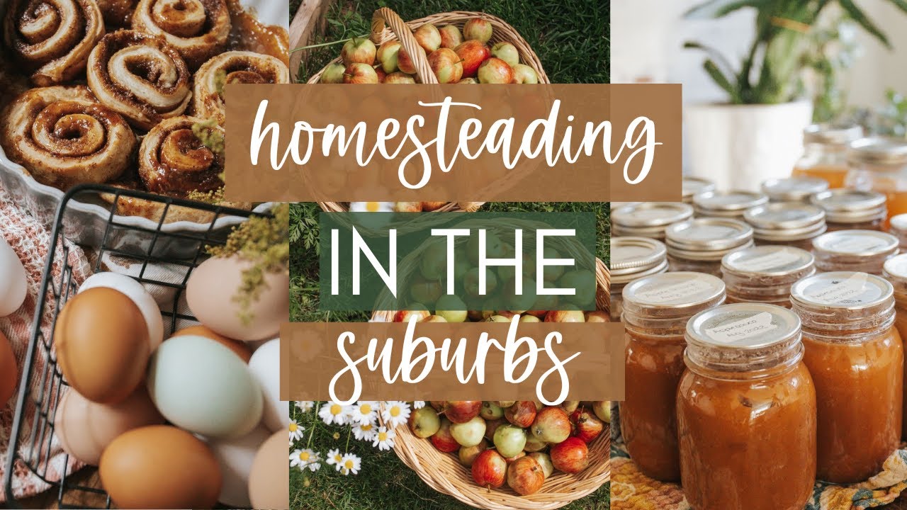 HOW TO START HOMESTEADING WITHOUT LAND / Urban homesteading for ...