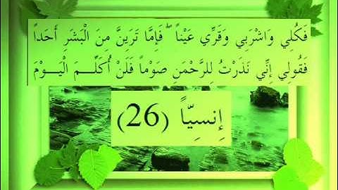 القرآن الكريم سورة مريم الأية 26 قراءة السديس.wmv