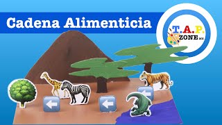 Como hacer la Maqueta de la Cadena Alimenticia - TAP ZONE Mx