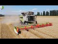 Claas Lexion 8900 TerraTrac - Claas Convio 1080 Flex / first in Italy / Harvest 2020