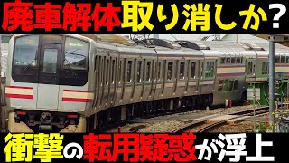 【E217系が廃車中止に？】衝撃の新型車両計画に一同騒然！