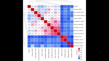 "Batch 61: Correlation Analysis in R Using Psych and Corrplot Packages - Complete Tutorial"