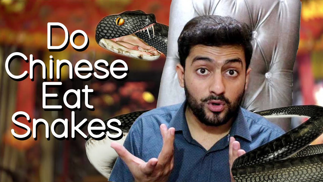 Do Chinese people eat snakes? what they eat? Hindi/Urdu Vlog 28 - YouTube