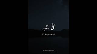 Surah Al-'Ankabut (29:56-57) || Yusuf Hanif. @hanifproductions