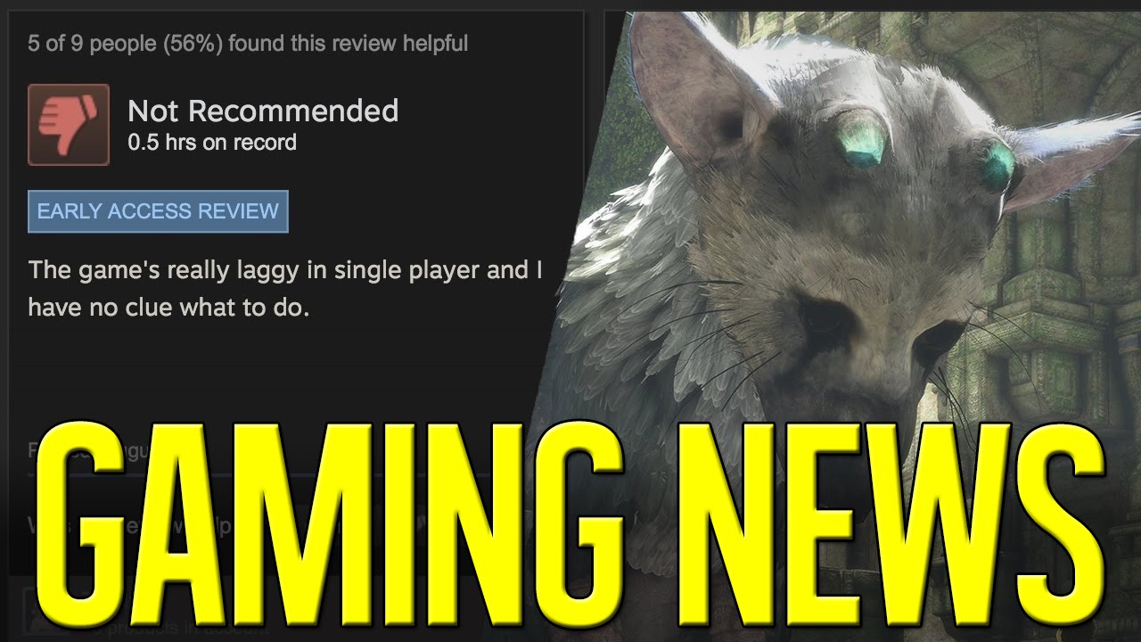 Steam Reviews, PS4 Pro/Slim, The Last Guardian Delay, PS4 Mods