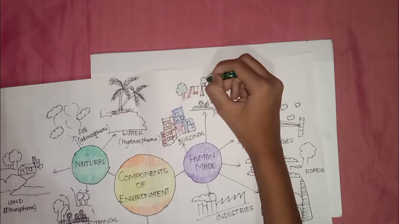 drawing-on-components-of-environment-class-7-cbse-youtube