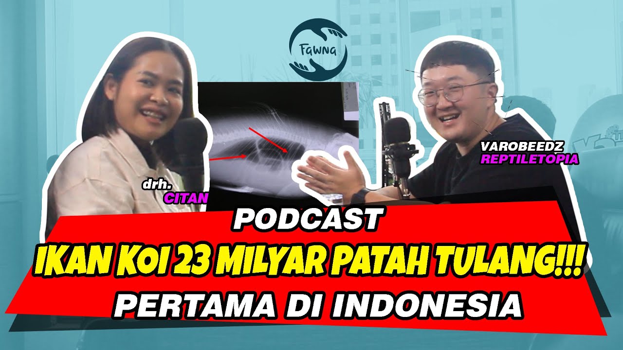 DOKTER IKAN PERTAMA DI INDONESIA ?! ADA IKAN KENA PENYAKIT LANGKA ! | THE VARO SHOW DRH. CITAN