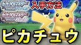 可愛かったヒメグマが ダイパリメイク Youtube