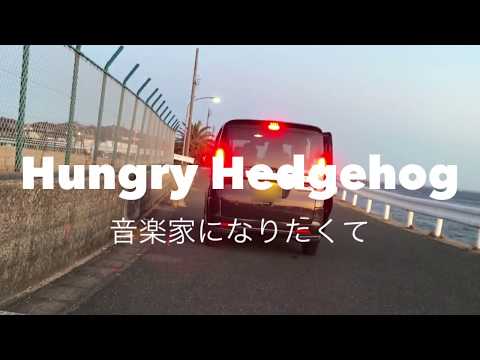 【歌ってみた】My Hair is Bad/音楽家になりたくて