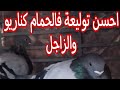 توليعة صباحية وشكرا على مروركم الطيب