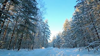 Сказочная зимняя дорога в Марий Эл