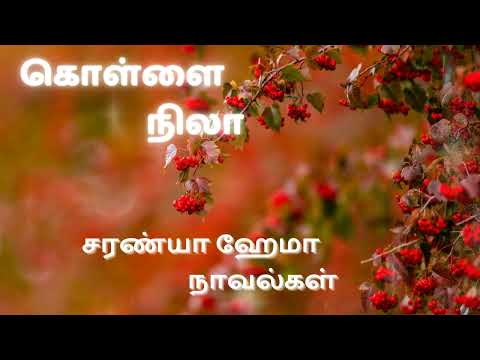 கொள்ளை நிலா - முழுநாவல் | ஒலிச்சித்திரம்
