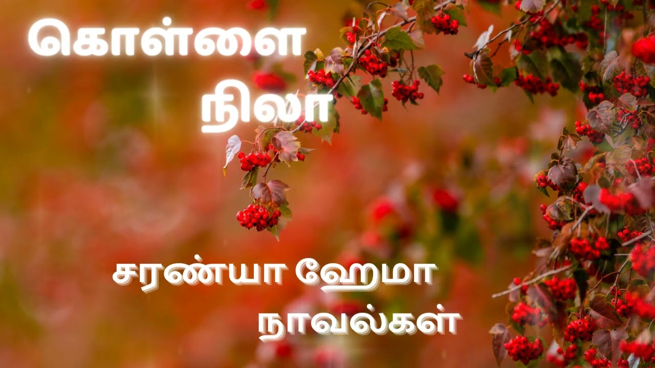 கொள்ளை நிலா - முழுநாவல் | ஒலிச்சித்திரம்