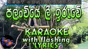 Palanchiye Lee Iruwe Karaoke with Lyrics (Without Voice)