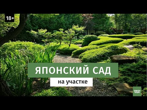 Японский сад на участке. Ландшафтный дизайн.