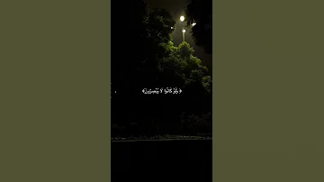 أفأنت تهدي العمي ولو كانوا لا يبصرون 