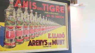 Chef Jeremy On Nylos Restaurant In Paia, Maui