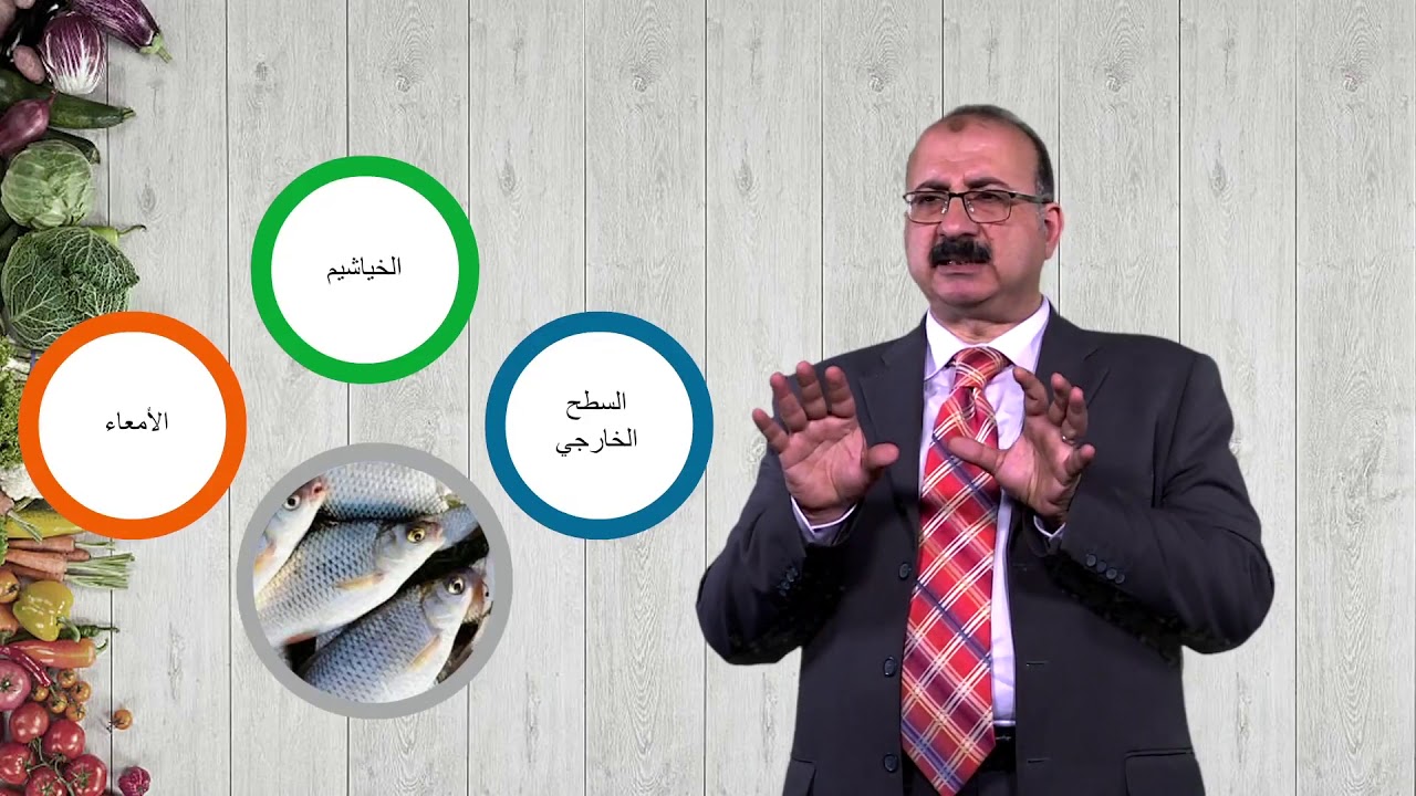 المحاضرة الرابعة - تلف الأغذية - الجزء الخامس