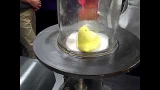 Intro to Gases Lab Activity - Mr Pauller